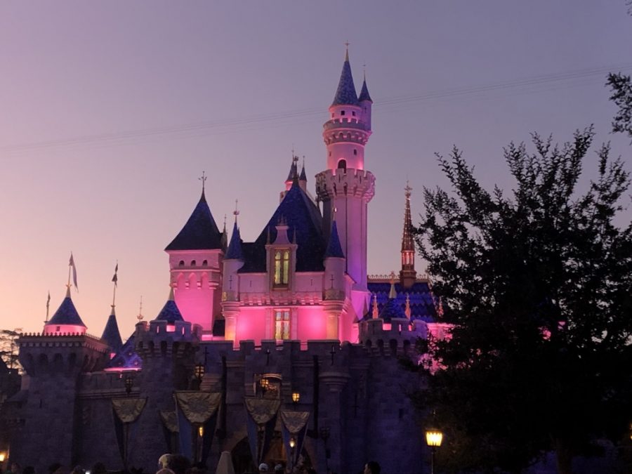The magical castle of DisneyLand has awaited visitors for so long. Disney lovers are frustrated that they dont get to visit one of their favorite places to go.