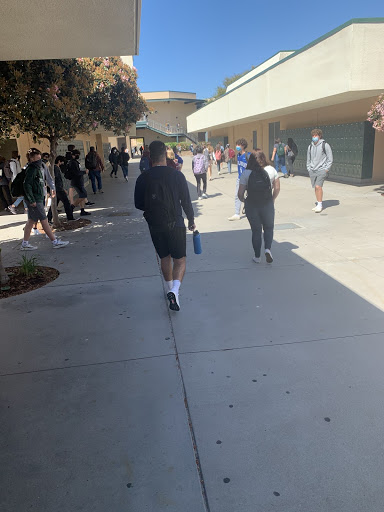Students cruising through the hallways to their next class on time.