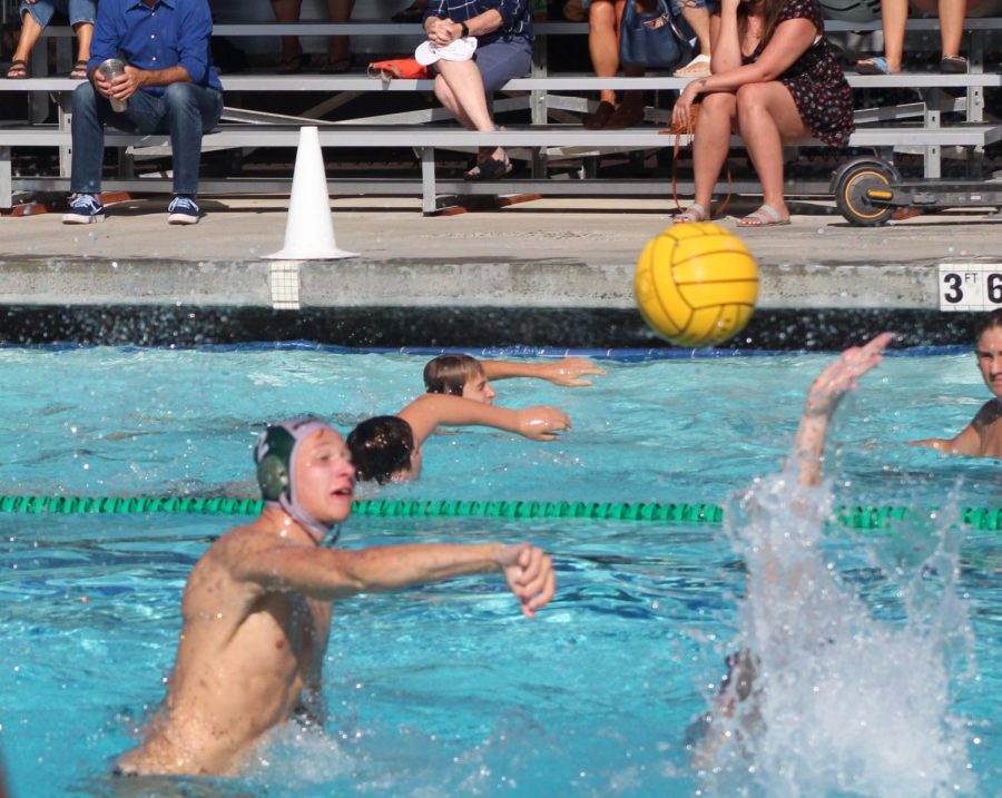 Water Polo returns to campus, blows out Classical