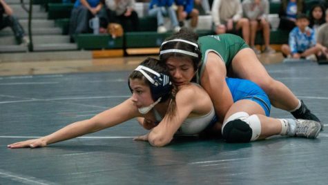 Valdiviezo works to build more inclusive wrestling community