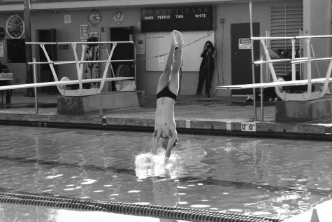 Keep calm and swim on