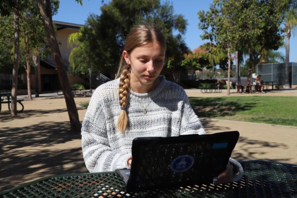 Senior Maggie Gillespie tackles an online assignment.                                                                                 
