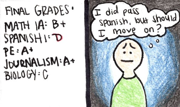 D grades should not be passing grades