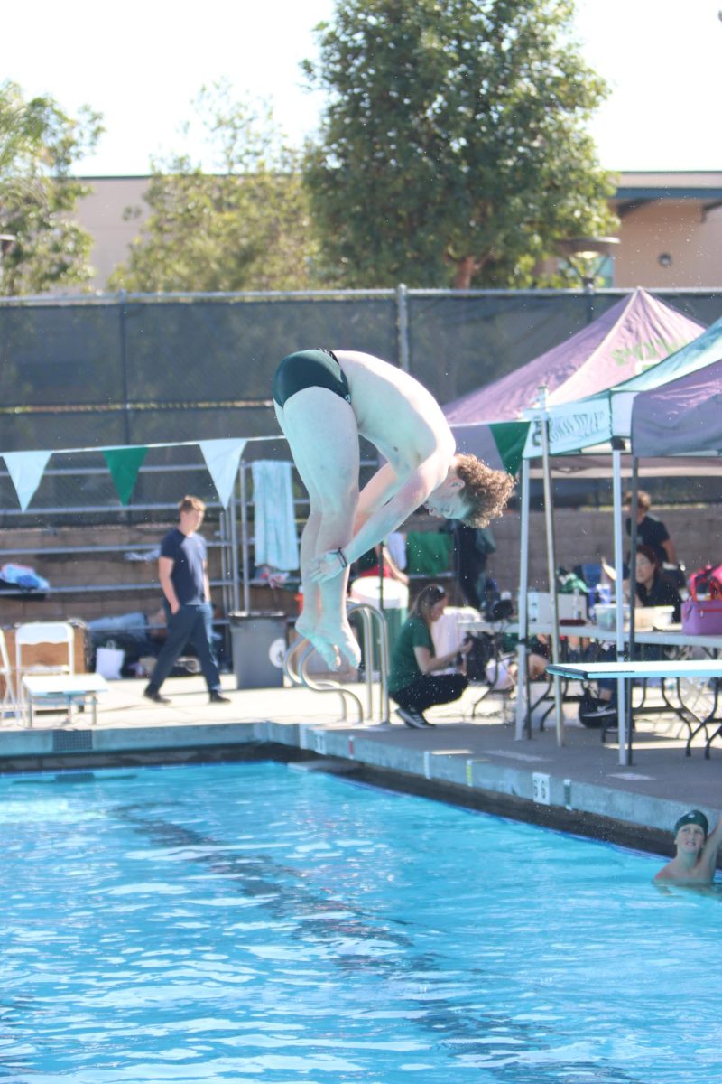 Senior Connor Liddle jumps off the diving board executing his dive perfectly.  