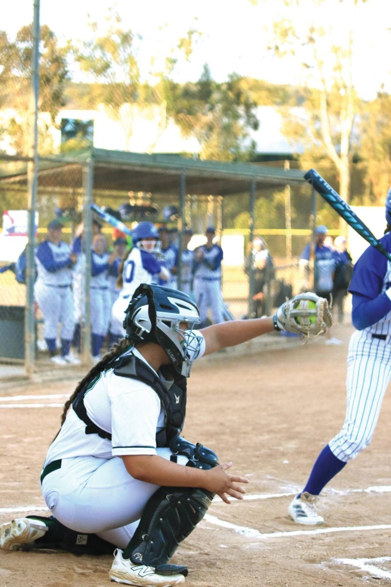 SB catch